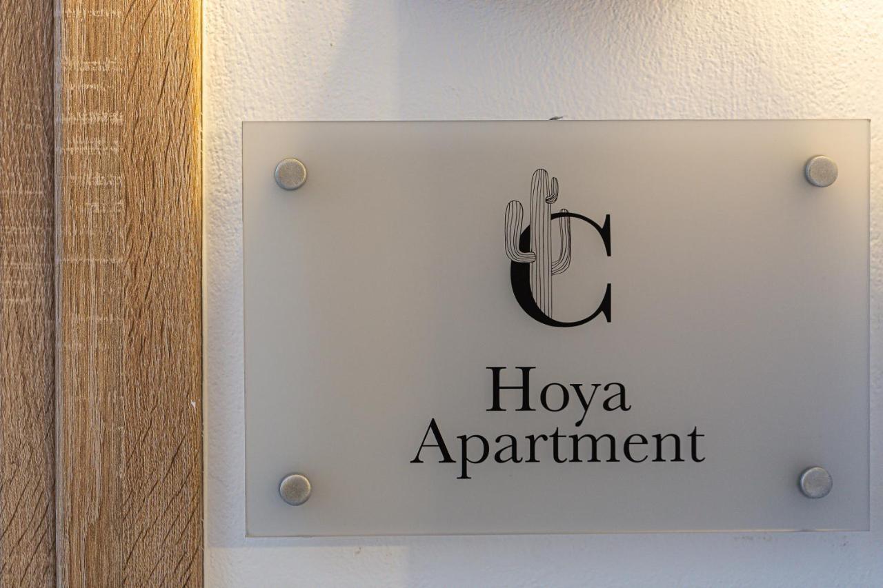Cactopia Apartments- Hoya-Aeonium Réthimno Kültér fotó